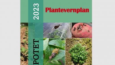 Plantevernplan potet 2023